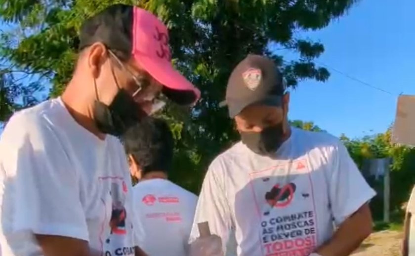 Vigilância Sanitária da continuidade ao combate às moscas com procedimento de pincelamento