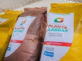 Governo de Alagoas lança Programa Planta Alagoas nesta segunda (18)