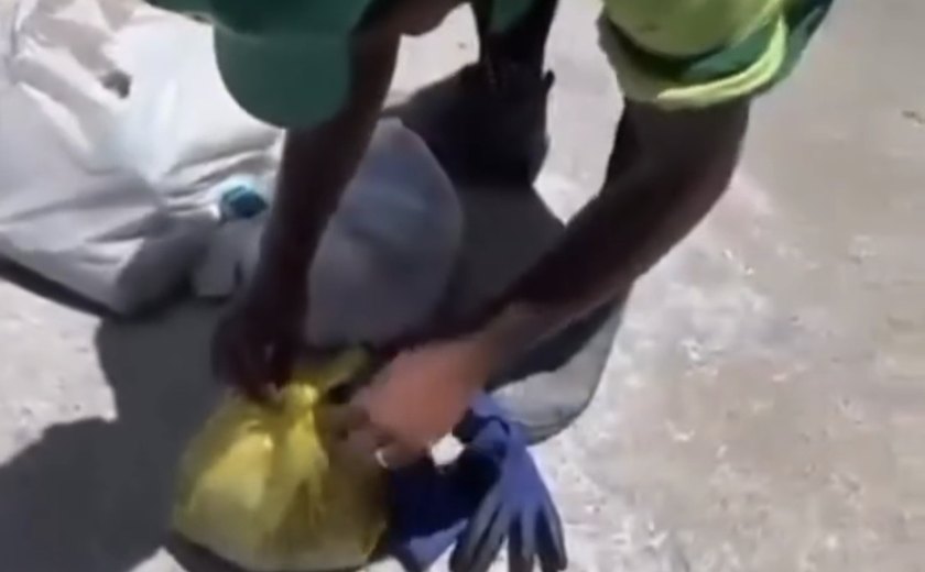 Garis resgatam filhote de gato encontrado dentro de sacola no lixo em Maceió