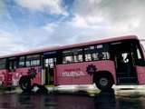 Ônibus exclusivo para mulheres completa 3 meses com 90 mil embarques em Maceió
