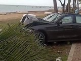 Acidente em Maceió: motorista perde controle, invade calçada e derruba coqueiro na orla da Jatiúca
