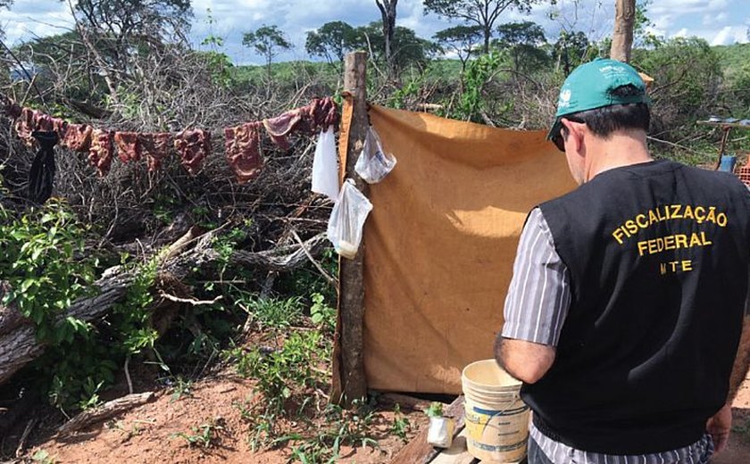 Mais de 2.000 pessoas foram resgatadas de trabalho escravo no Brasil em 2022