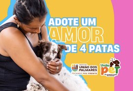Prefeitura de União dos Palmares realiza feira de adoção de pets neste sábado na Praça Basiliano Sarmento