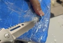 Polícia apreende cocaína e maconha em armazém de transportadora em Maceió