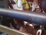Homem é esfaqueado e tem corpo dilacerado em frente a supermercado em Maceió