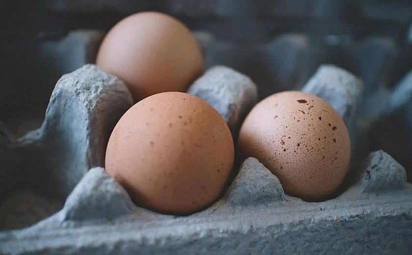 Ovo tem maior alta de preços em uma década no Brasil