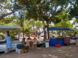 Feira Agroecológica da UFAL passa a acontecer na praça centenário em Maceió