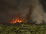 Incêndios podem ter afetado mais de 11 milhões de pessoas no Brasil