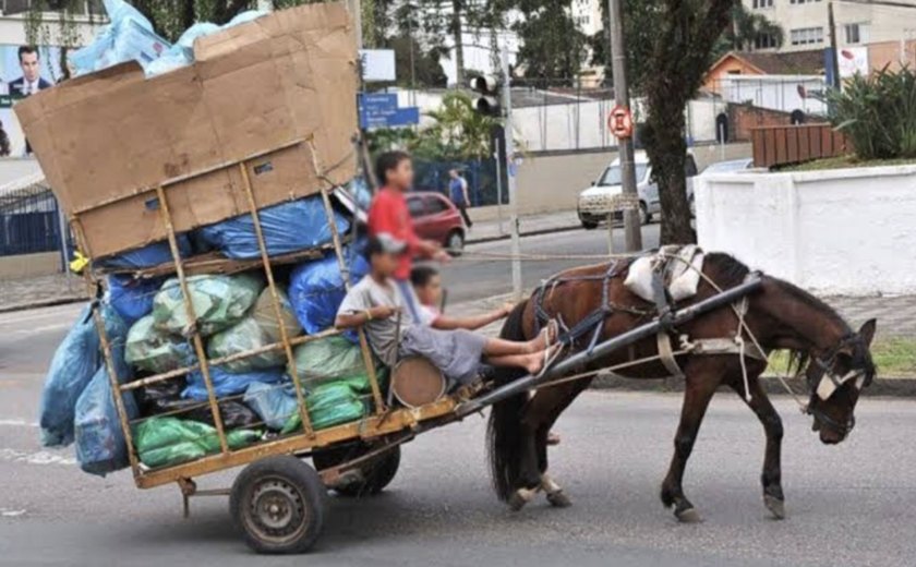 Projeto aprovado na Câmara criminaliza maus-tratos a animais de tração