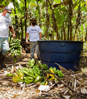 Agricultores de União dos Palmares comemoram sucesso do associativismo