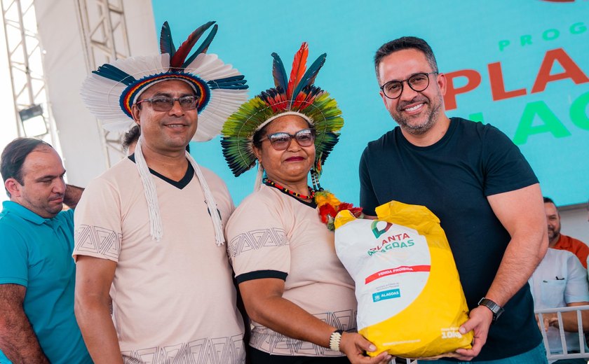 Planta Alagoas: agricultores começam a receber sementes na janela de plantio ideal