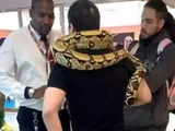 Homem é barrado por levar cobra de estimação a shopping em Belo Horizonte