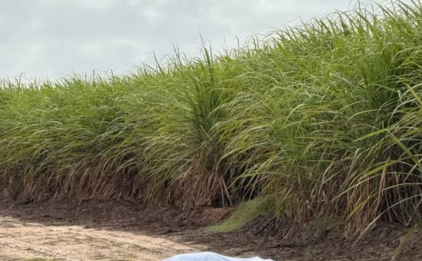 Empresário é sequestrado por falsos policiais no interior de Alagoas; corpo encontrado em canavial pode ser da vítima