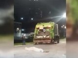 Gari morre atropelado por caminhão de coleta de lixo enquanto trabalhava em Maceió