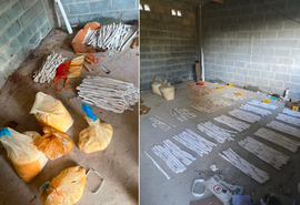 Esquadrão antibombas remove mais de 100 kg de explosivos abandonados em Maceió