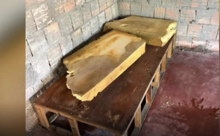 Irmãos são presos em Manaus por manter mãe de 70 anos em cárcere privado e ambiente com fezes