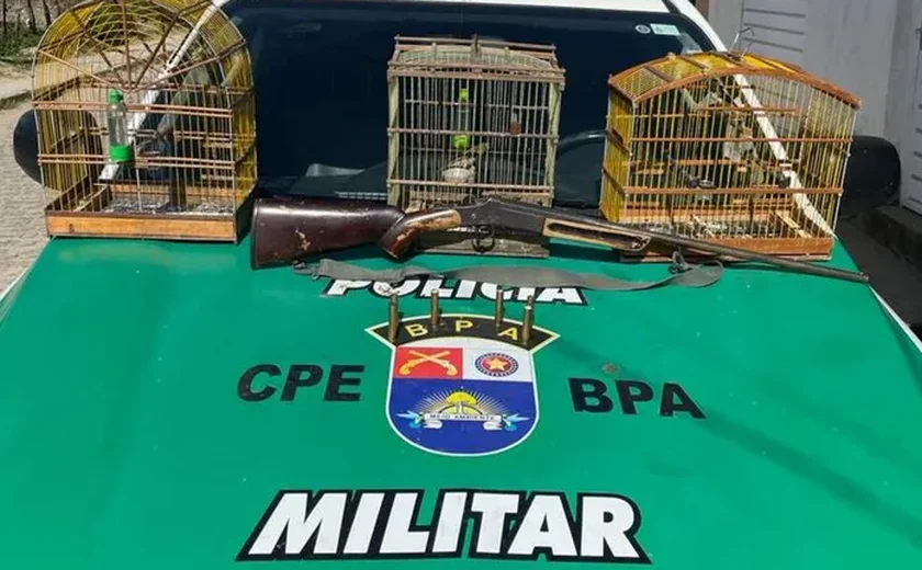 Aves silvestres são resgatadas de cativeiros em União dos Palmares e São José da Laje