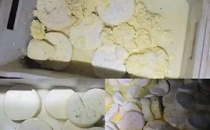 PM apreende 11 toneladas de queijo com larvas e fezes de rato em MG