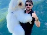 Conheça Bredy, o poodle gigante de 30 kg que faz sucesso nas redes sociais