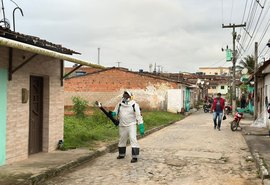 Ibateguara intensifica combate à dengue com ação de borrifação em comunidade rural