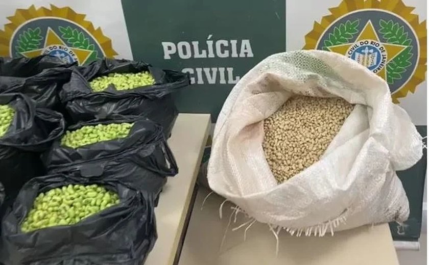 Preso suspeito de pintar feijão para vender produto mais caro