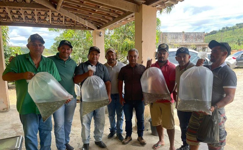 Incentivo à piscicultura: prefeitura de Branquinha entrega nova remessa de alevinos