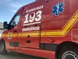 Égua entra em trabalho de parto dentro de juizado em União