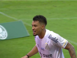 Santos encerra jejum em clássicos, vence Palmeiras de virada e sai do Z-4