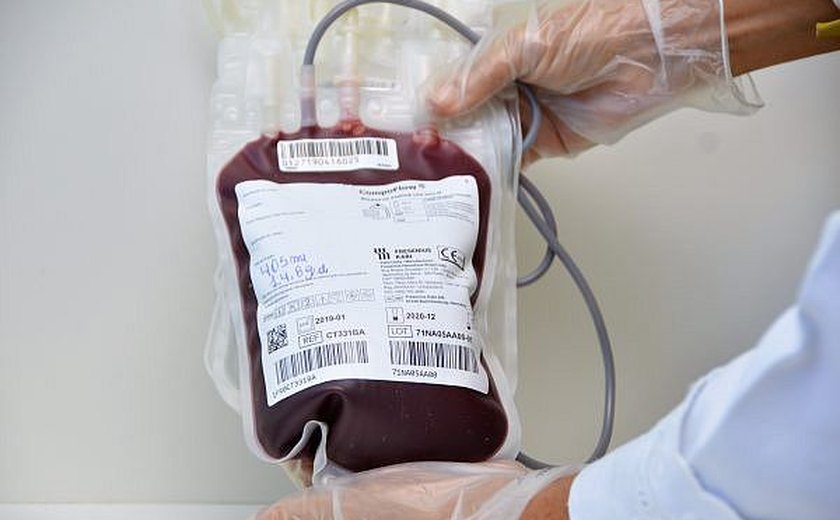 Hemoal promove coletas externas de sangue em União dos Palmares nesta terça-feira (18)