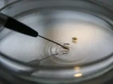 Brasil supera 1 mil mortes por dengue este ano