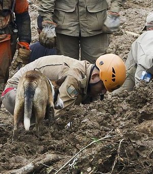 Bombeiros e cães farejadores de Alagoas vão reforçar resgate de vítimas em Petrópolis