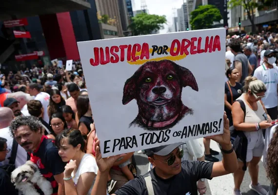 Caso Orelha: polícia pede internação de adolescente envolvido no crime