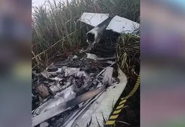 Piloto morre carbonizado após queda de monomotor em fazenda de Altair
