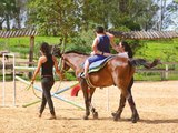 Entenda o que é a Equoterapia, método que pode ser utilizado por pessoas com deficiência em União dos Palmares