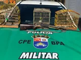 Aves silvestres são resgatadas de cativeiros em União dos Palmares e São José da Laje