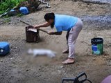 Mulher que matou cão a golpes de picareta e mantinha 35 animais em cárcere privado é solta pela Justiça