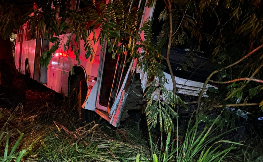 Ônibus com 45 estudantes capota em Minas Gerais
