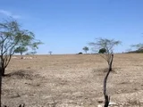 Seca avança em Alagoas e estado está entre os mais afetados do Brasil, aponta Monitor de Secas