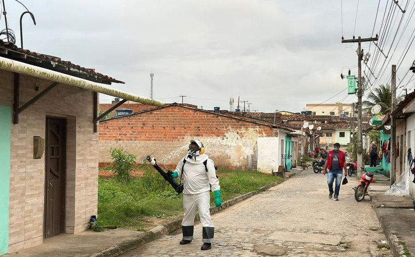Ibateguara intensifica combate à dengue com ação de borrifação em comunidade rural