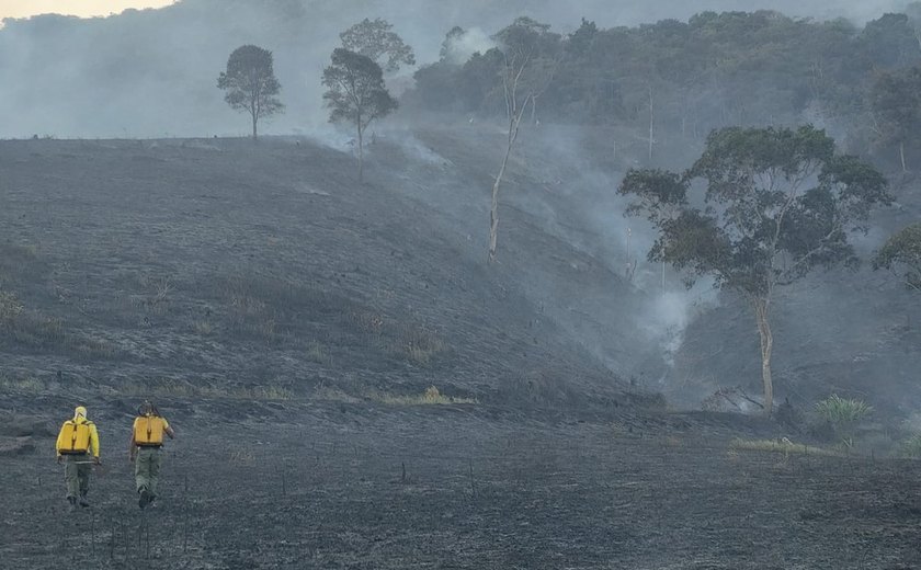 Incêndio de grandes proporções destrói parte da Estação Ecológica de Murici