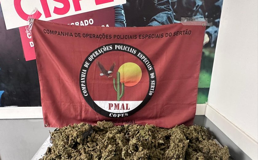 Polícia Militar apreende mais de 4 kg de maconha e retira armas de circulação em cidades de Alagoas