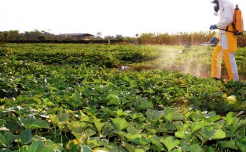 Secretaria de Saúde oferta palestra sobre manuseio de agrotóxicos para agricultores de Palmeira