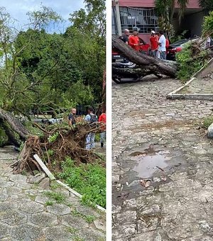 Árvore cai e atinge motocicleta em estacionamento da UFAL