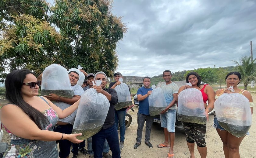 Incentivo à piscicultura: prefeitura de Branquinha entrega nova remessa de alevinos