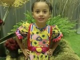 Menina de 6 anos é morta em MG após irmão de 12 disparar arma de padrasto acidentalmente