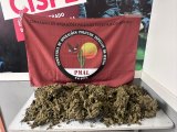 Polícia Militar apreende mais de 4 kg de maconha e retira armas de circulação em cidades de Alagoas