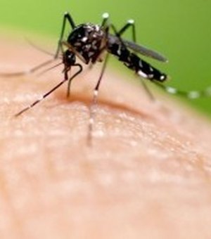 Alagoas registra aumento de 181% do número de casos de dengue