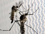 Bebê morre em Murici com suspeita de dengue; mortes com suspeita dobram em AL