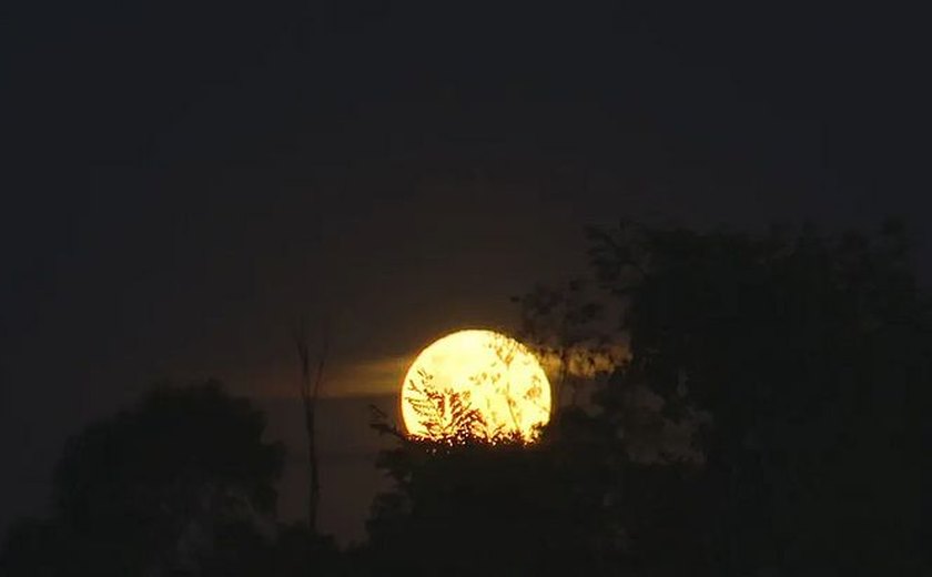 Primeira superlua do ano está mais perto da Terra e poderá ser vista nesta segunda, 03