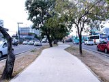 Obras da ciclovia avançam na Avenida Fernandes Lima